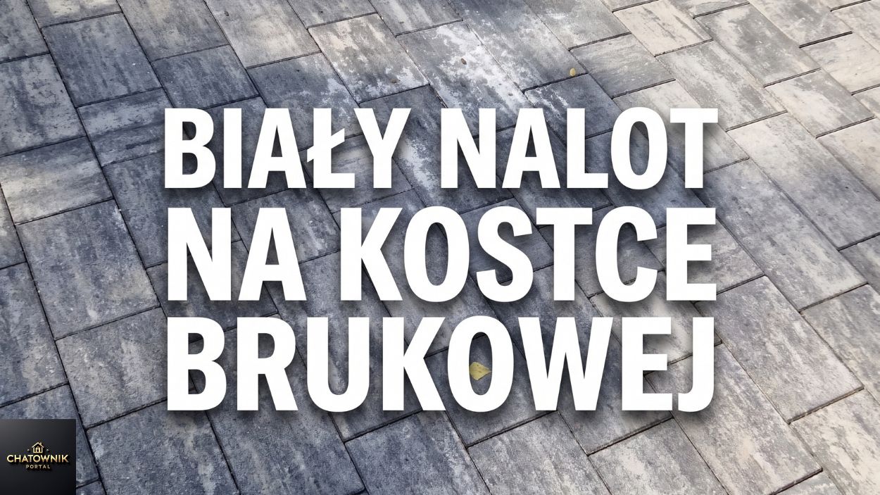 nalotnakostce